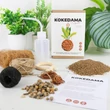 Kép 1/3 - Csináld magad kokedama növény készlet