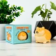 Kép 1/4 - Cuki Corgi Kutya Feszültség Oldó Labda