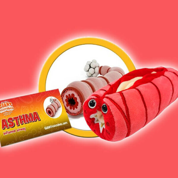 Asztma Plüss