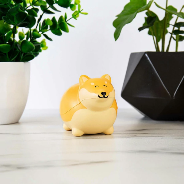 Cuki Corgi kutya feszültség oldó