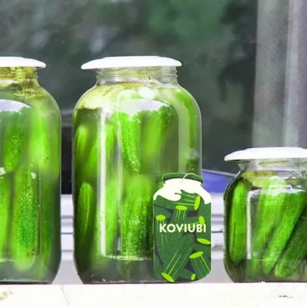 Koviubi Autóillatosító