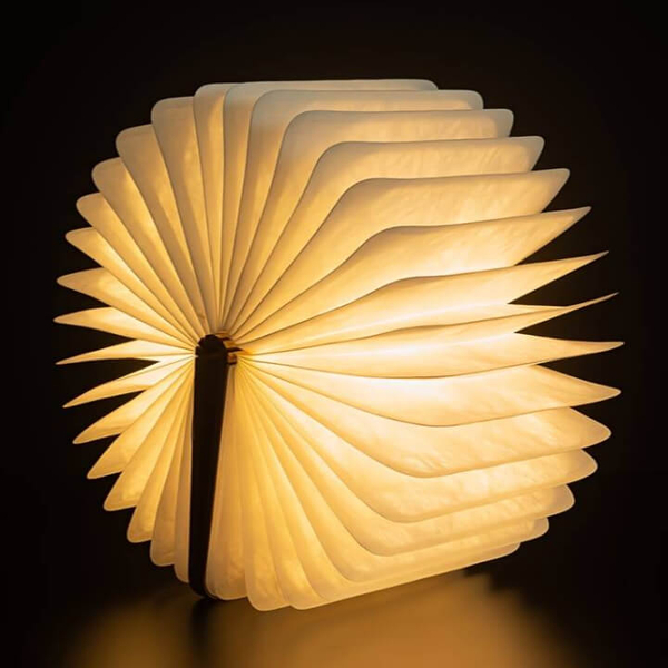 LED fényes könyv lámpa