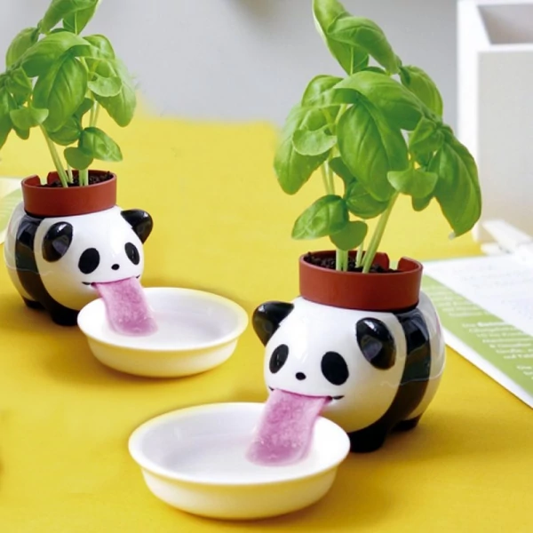 Lefetyelő Panda Kaspó - édes bazsalikom