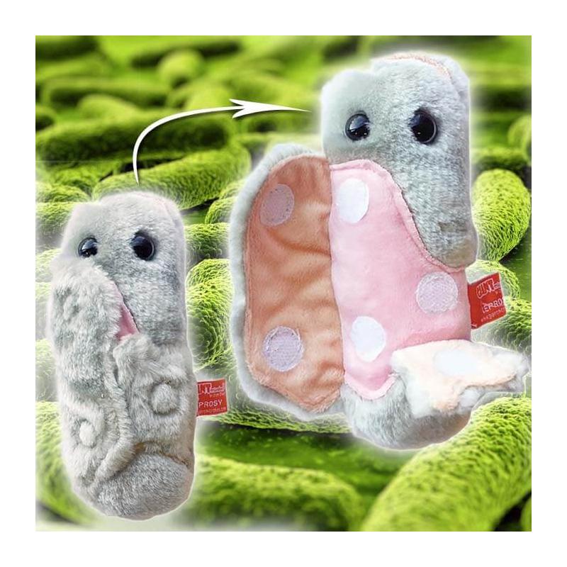 plüss csíra és paraziták giardia dimensiuni